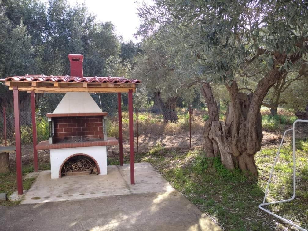 The Small House In The Olive Grove Lefokastro Exterior foto