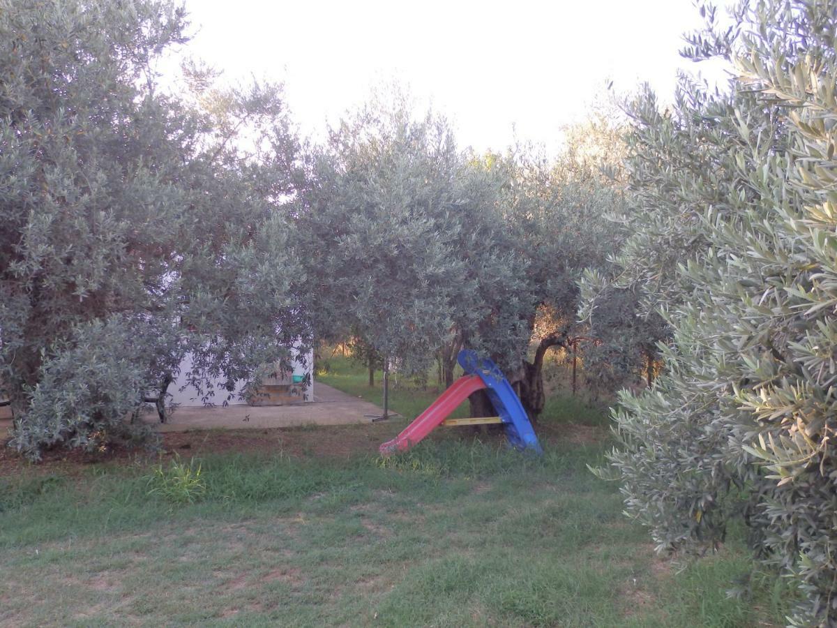 The Small House In The Olive Grove Lefokastro Exterior foto