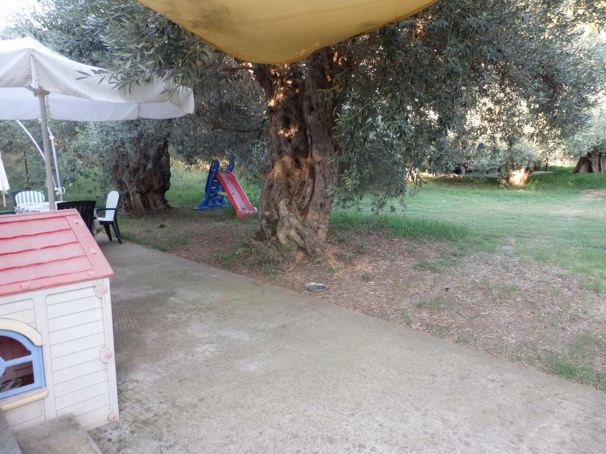 The Small House In The Olive Grove Lefokastro Exterior foto